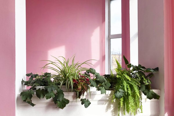 How to Style a Geometric Print Blouse for a Standout Conference Look?