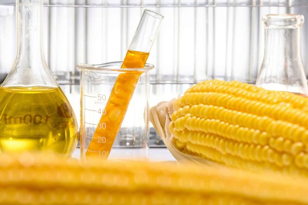 Which Advanced Biofuel Innovations Offer the Best Opportunities for UK Startups?